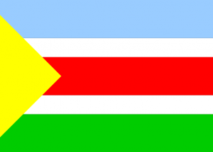 Flaga Bralina