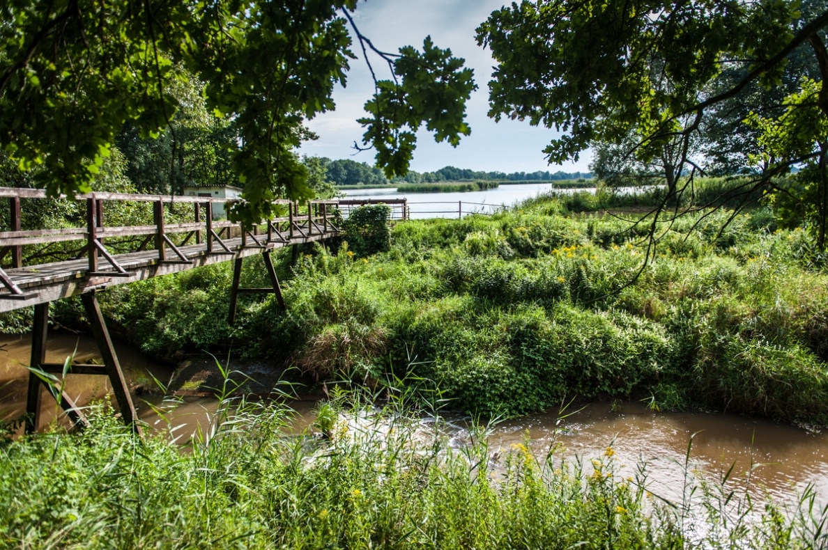 Park Krajobrazowy Dolina Baryczy