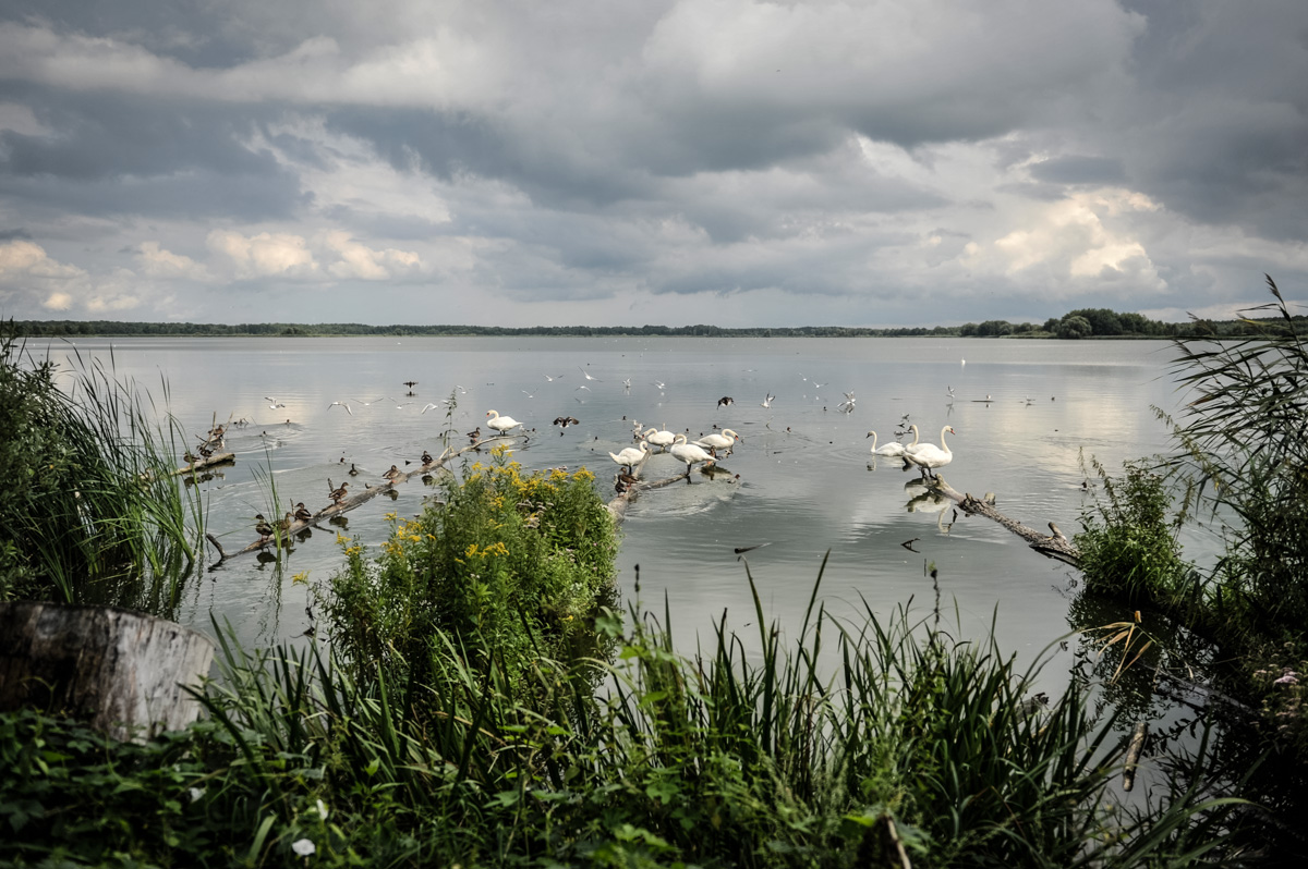 Park Krajobrazowy Dolina Baryczy