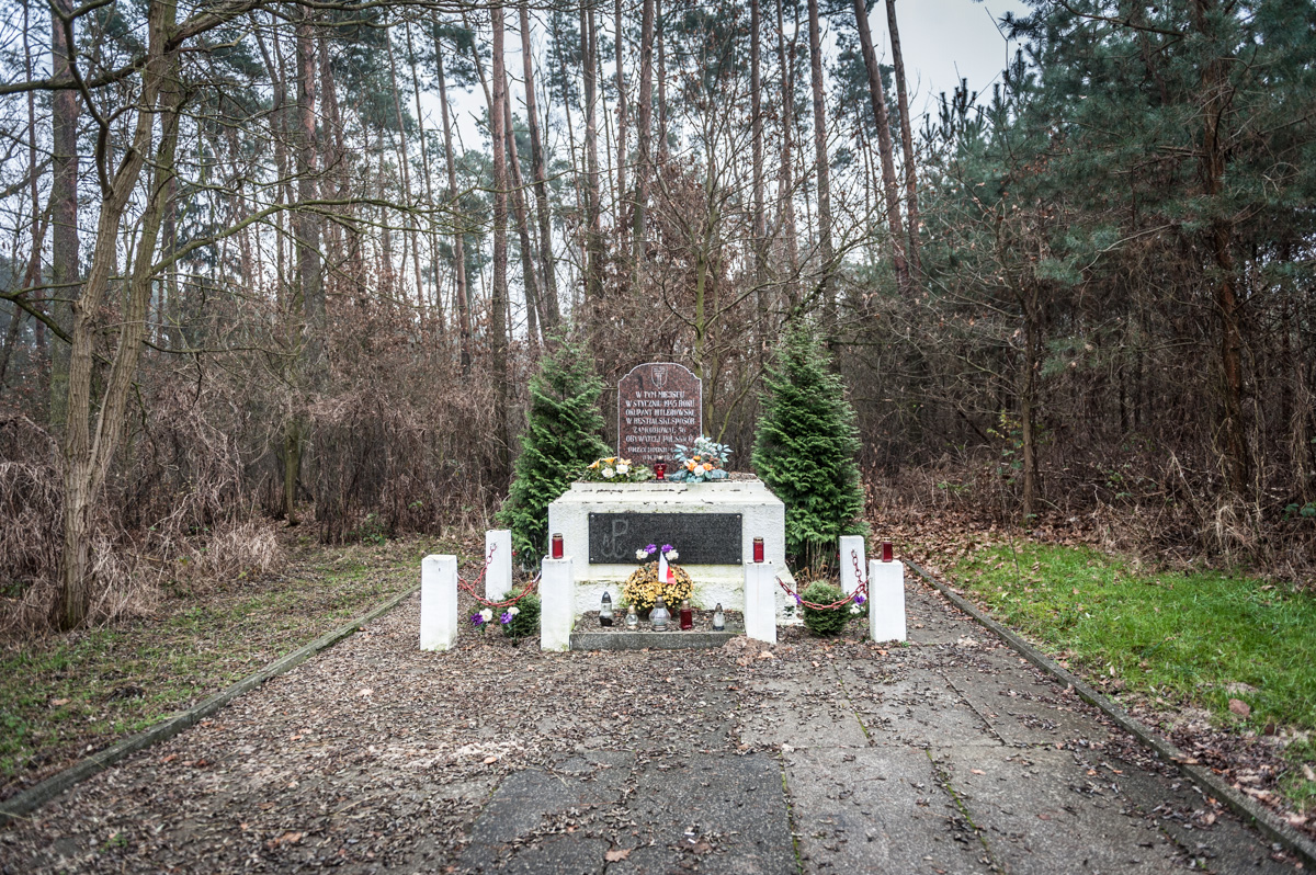 Obelisk w Lesie SKarszewskim