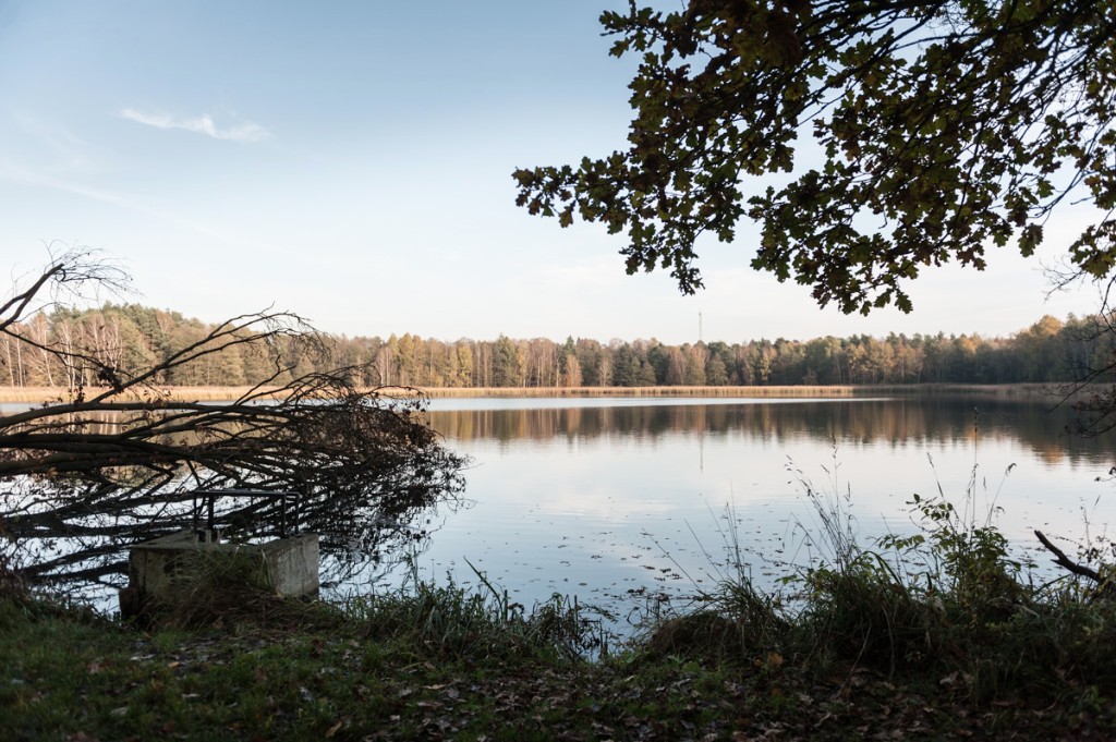 Rezerwat przyrody Wydymacz