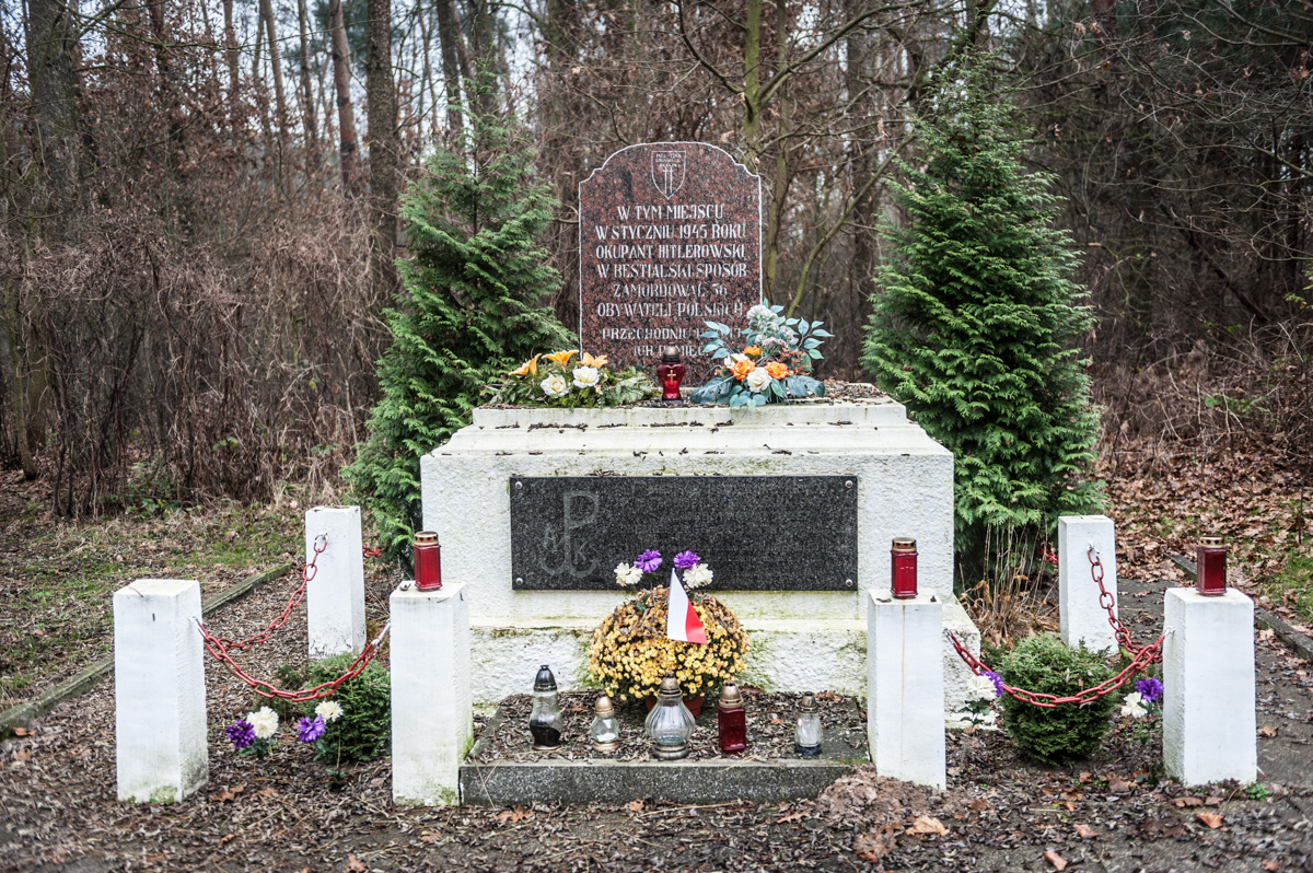 Obelisk w Lesie Skarszewskim