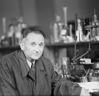 Witold Tomassi