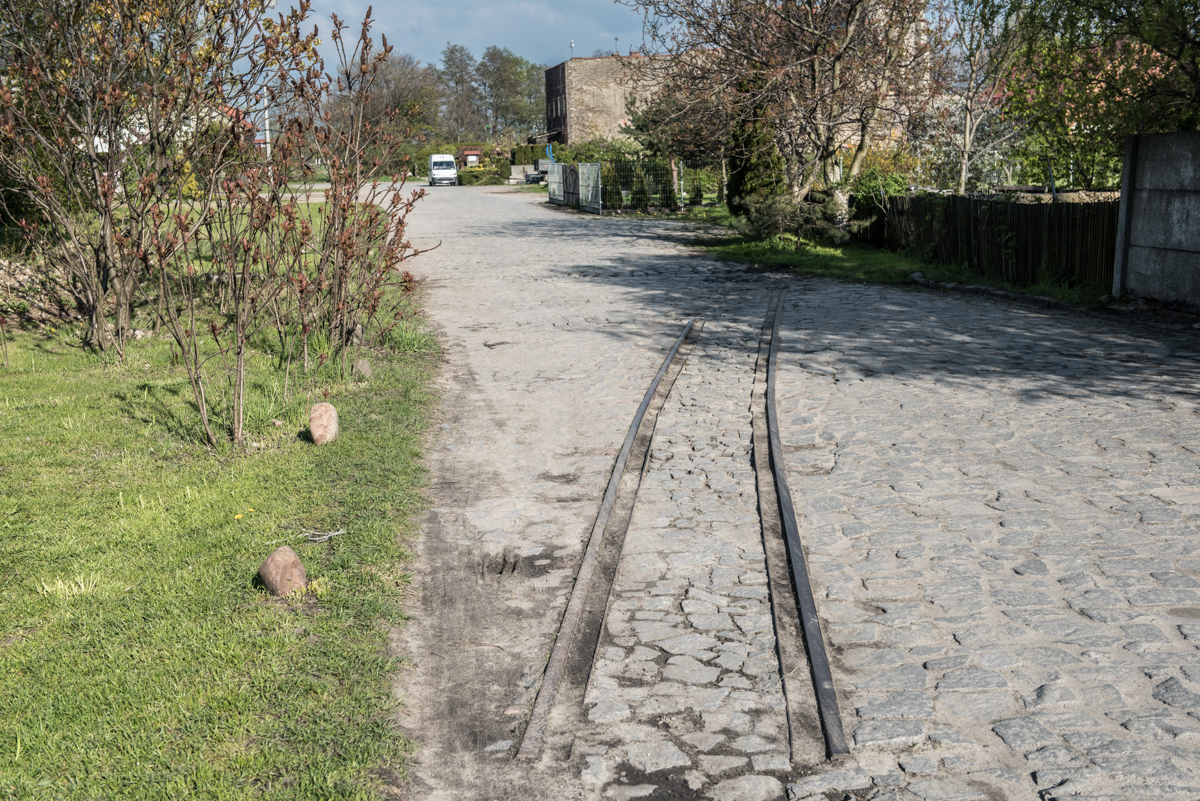 Pozostałosci torów Krotoszyńskiej Kolei Dojazdowej przy ulicy Dworcowej w Rozdrażewie