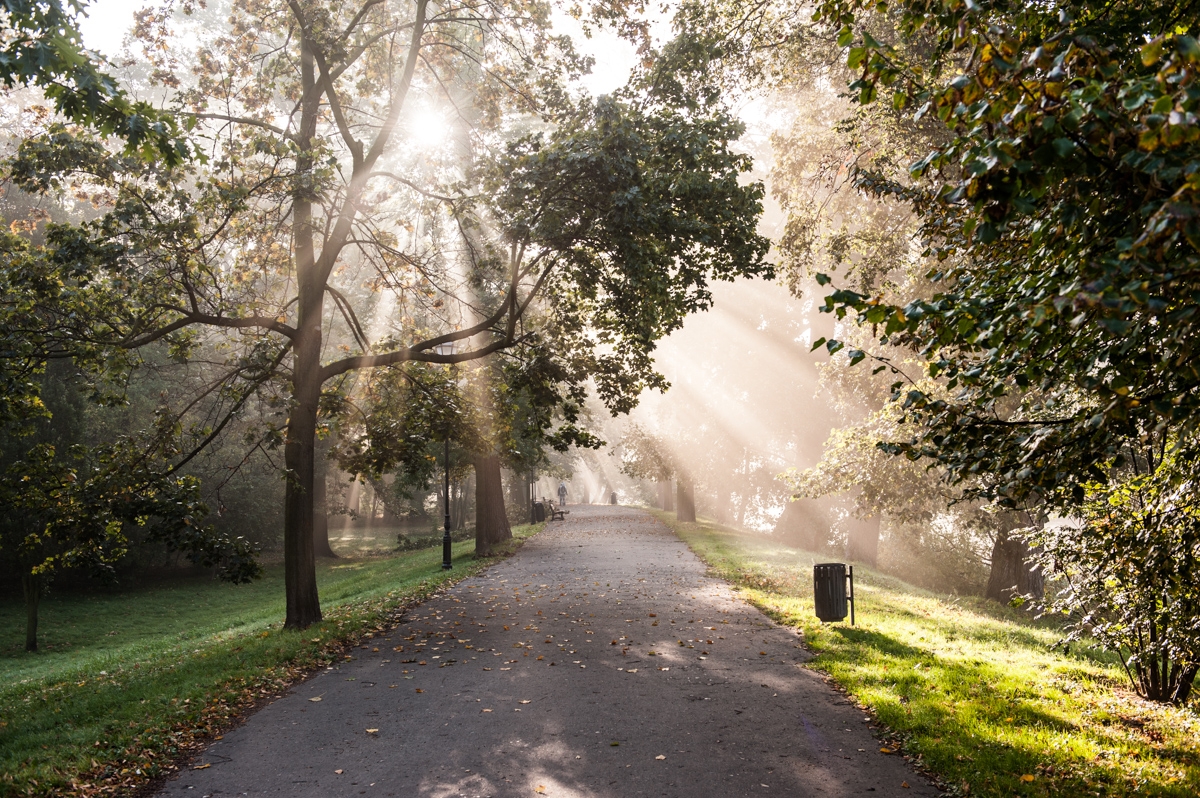 Park Miejski w Kaliszu
