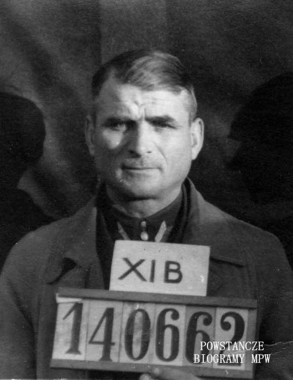 Franciszek Kaczmarek