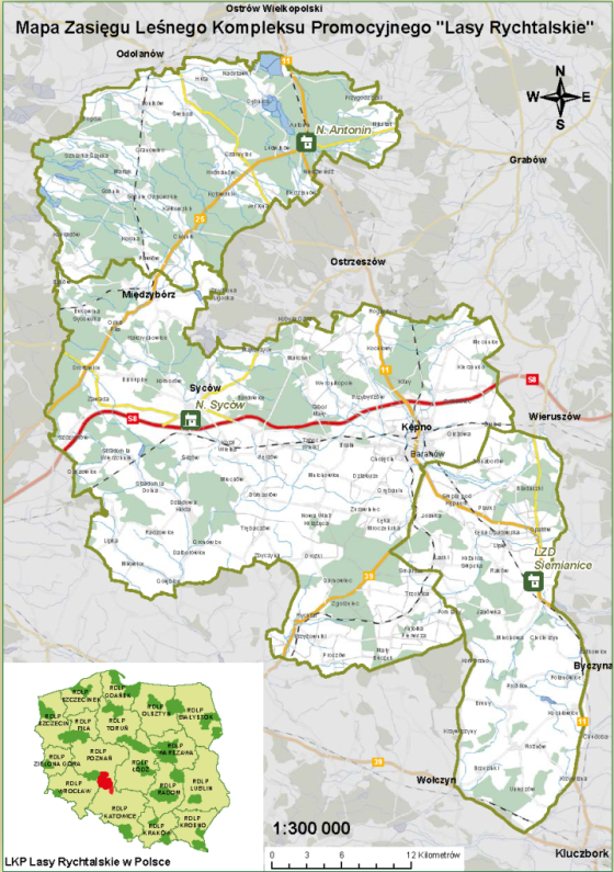 Leśny Kompleks Promocyjny Lasy Rychtalskie - mapa